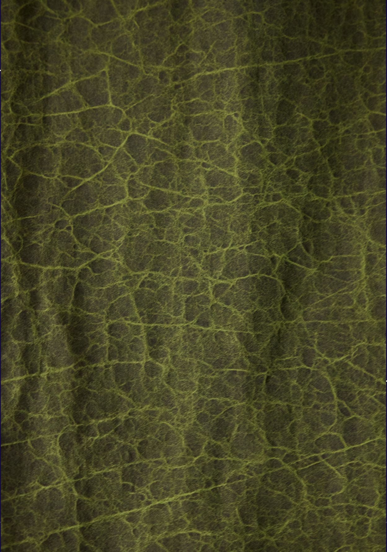 Green Silk Shirt with Gold Embroidery