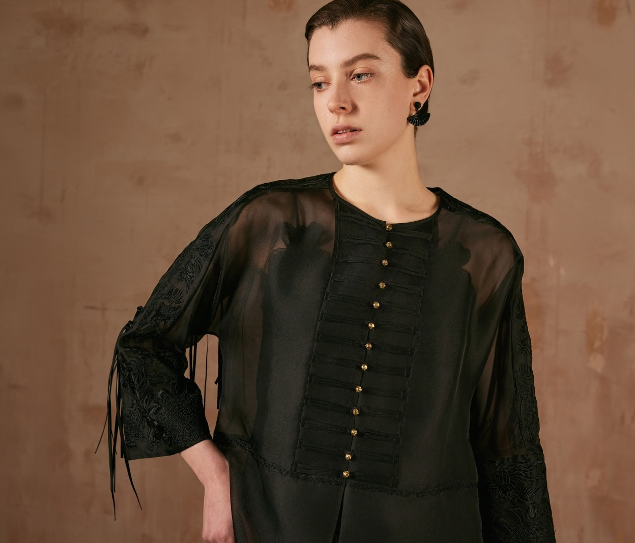 Black Sheer Blouse with Embroidery Details