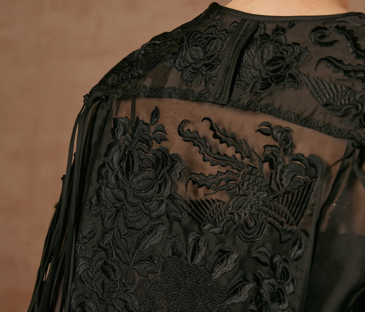 Black Sheer Blouse with Embroidery Details