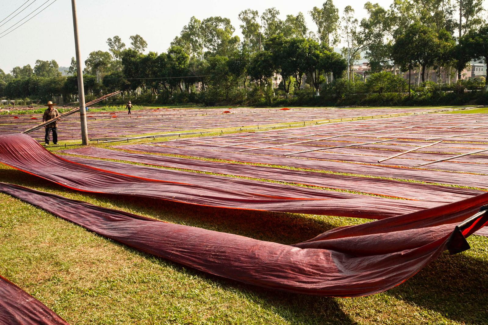 Silk drying in the sun across open fields